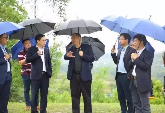 宋卫平离开绿城房产的真实现状,宋卫平开发的楼盘