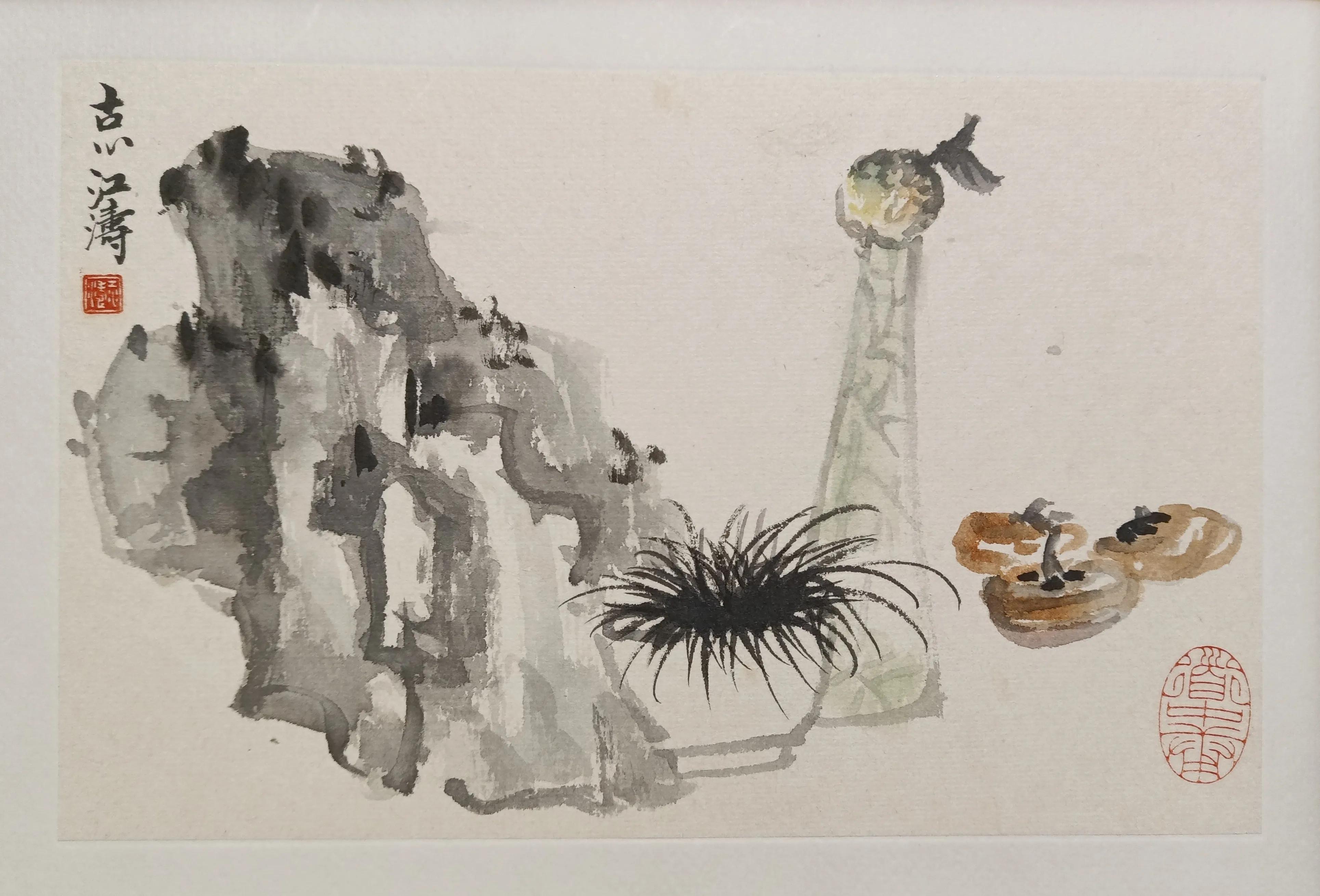 中国书法家江涛,中国墨江介绍视频