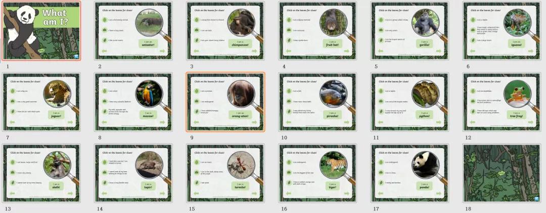 精美的英语教学ppt,英语教学分享ppt模板