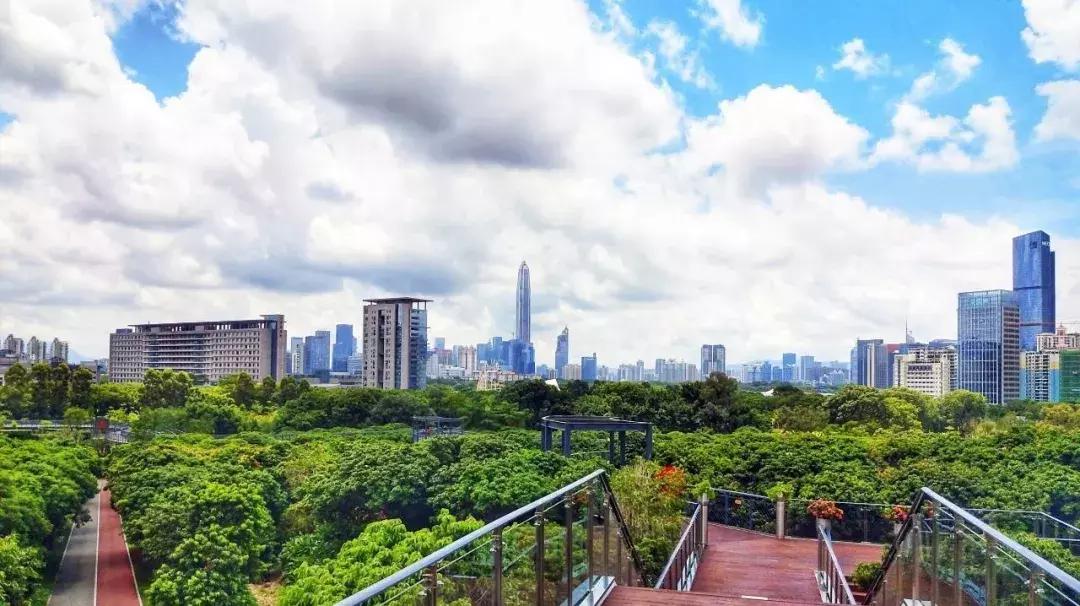 深圳适合春游的地方推荐及理由,深圳不可错过的游玩地方