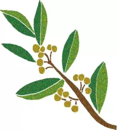 烹饪菜肴用的香辛料,料理必备调味料