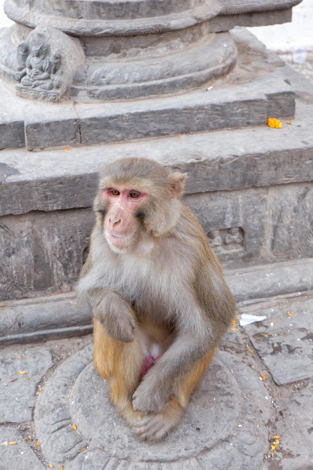 坐公交出国,坐公交可以环游中国么