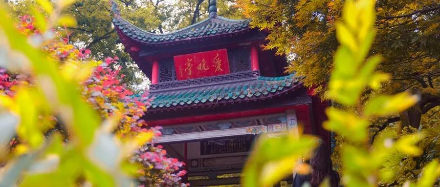 厦门国庆飞哪里的机票最便宜,2月厦门去哪里机票最便宜