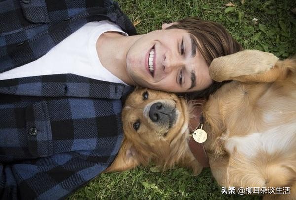 母狗与公狗谁更护主,母狗与公狗有血缘关系吗