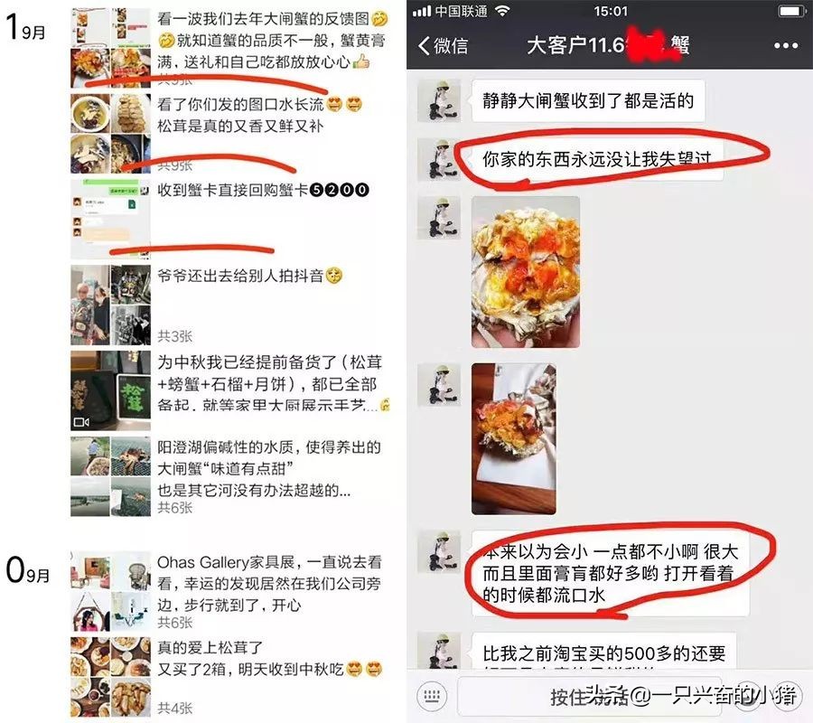 微商朋友圈卖货怎么做 (微商如何迅速的卖货)