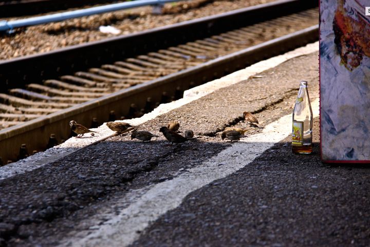 坐火车从北京到拉萨是什么体验,坐火车从北京到莫斯科