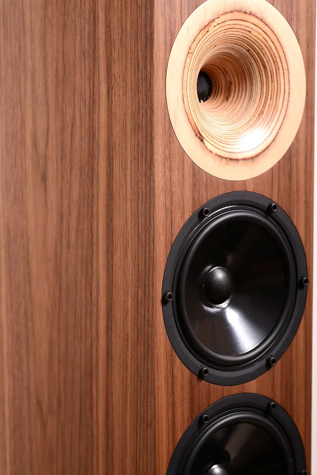 小功率胆机的福音——德国OdeonAudio奥丁Midas号角落地箱