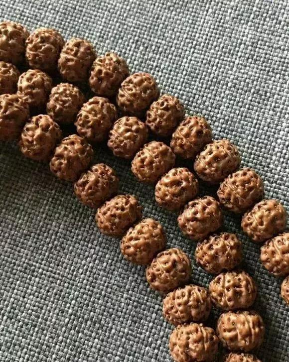 金刚贵贱区别,金刚菩提多久能红