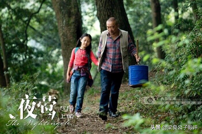中国电影《夜莺》，乡村的祥和清净能让你找到自己吗