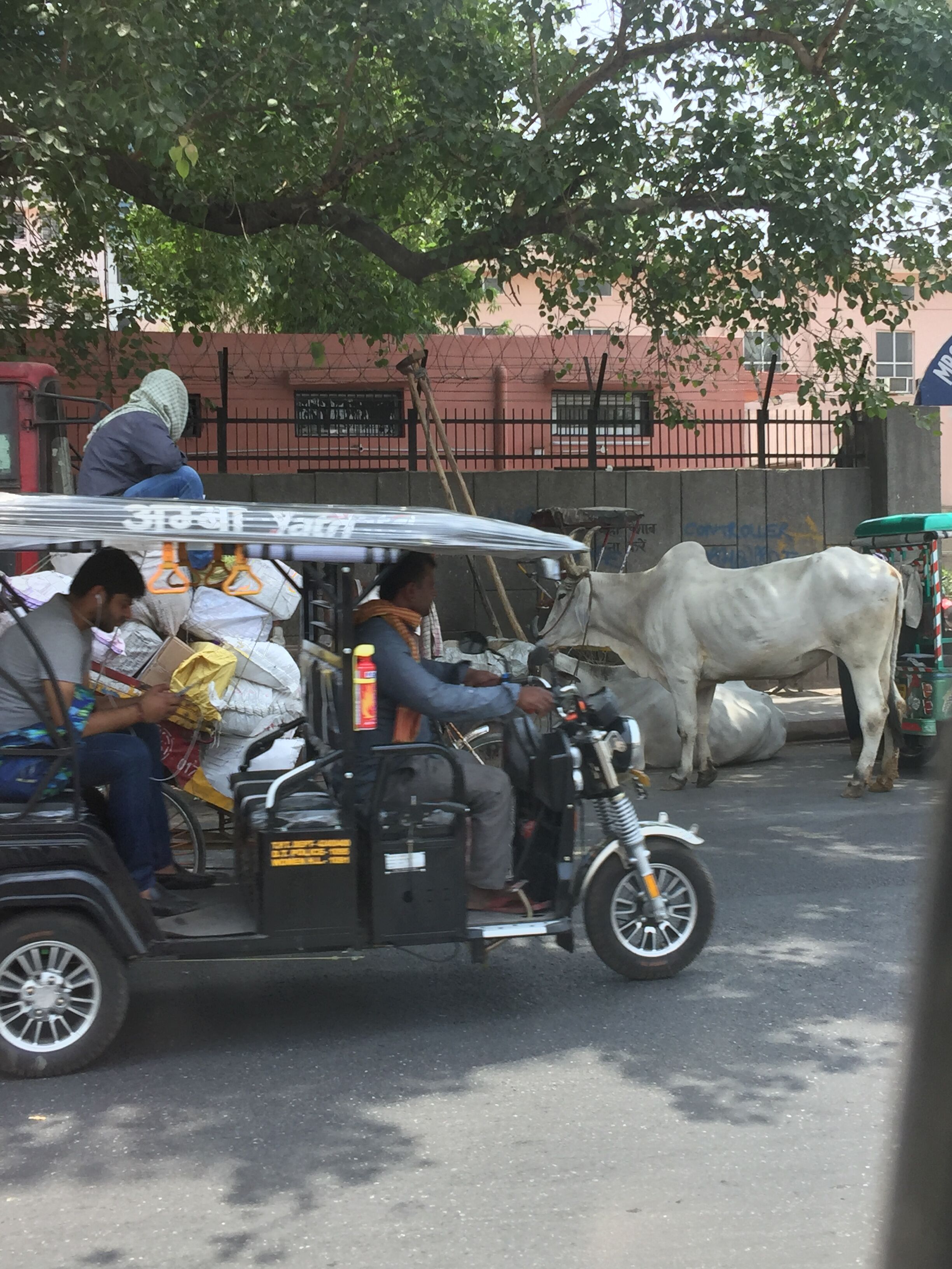 带你领略异国风情,带你领略东南亚6国异域风情