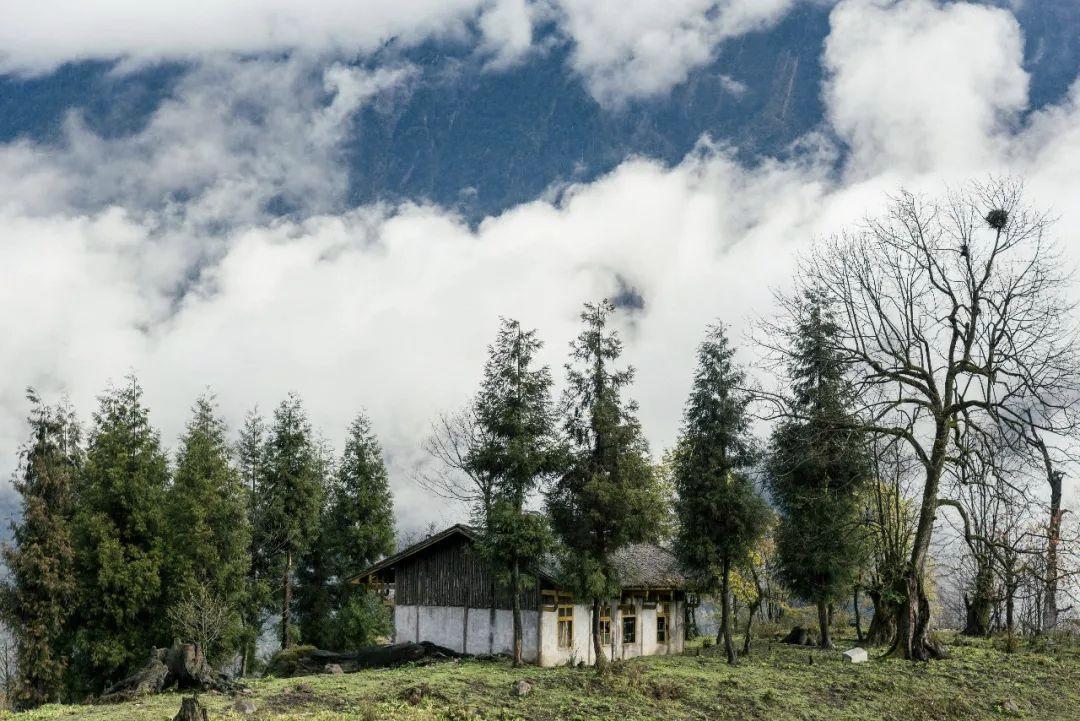 红了！黑竹沟迎来颜值巅峰，分分钟带你穿越五彩童话世界