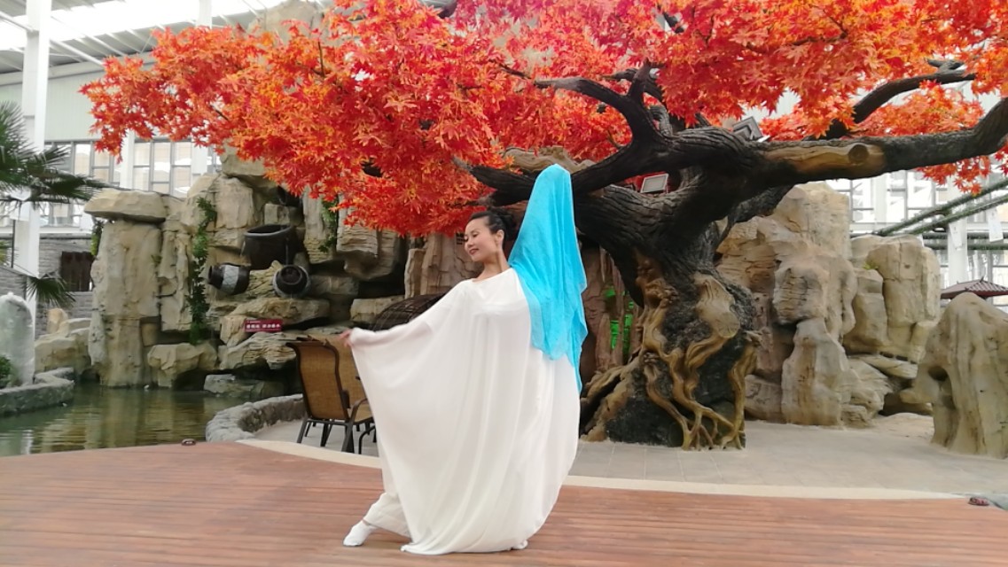 陕菜探秘王东风,陕菜探秘团