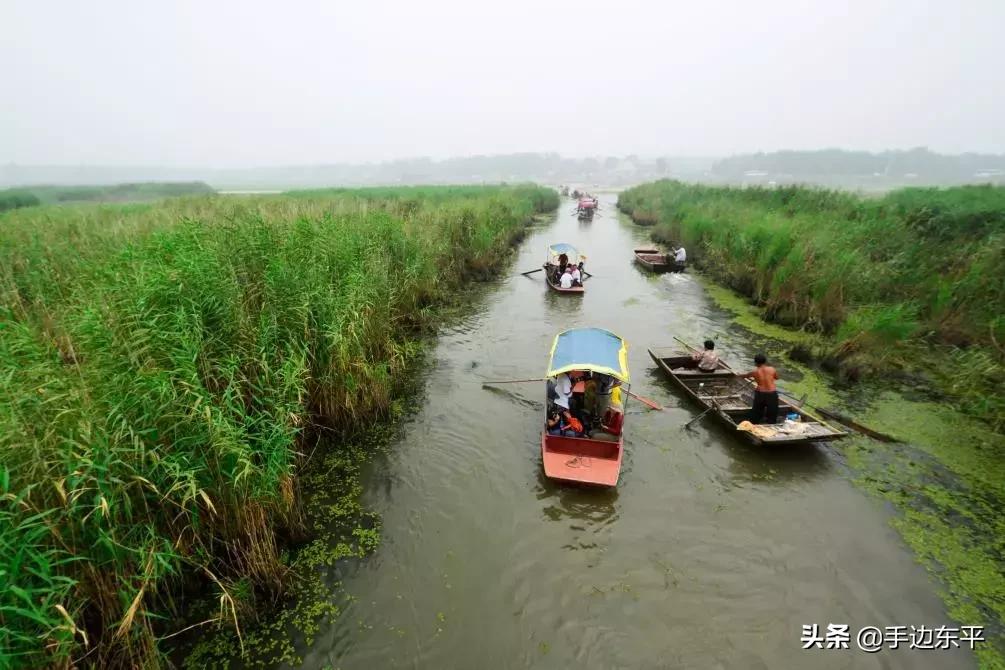 带着你的胃，寻找东平味儿