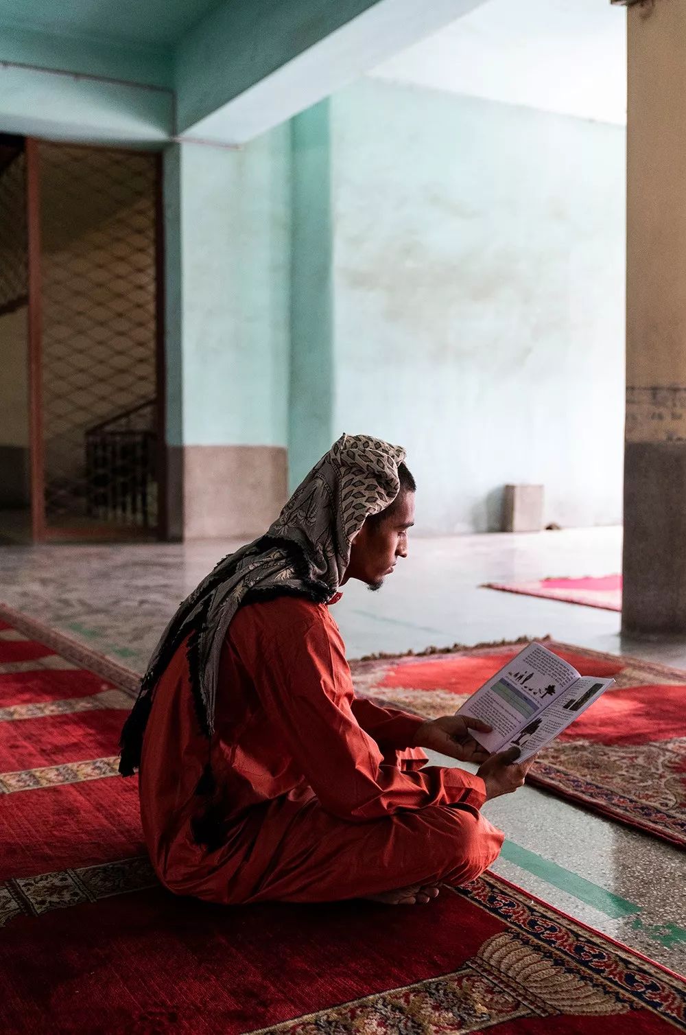 王员外图片,王员外摄影剪辑