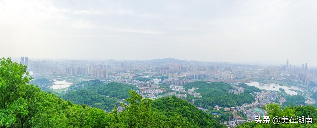 长沙人口未来发展2020,长沙近十年的中小学学生人数