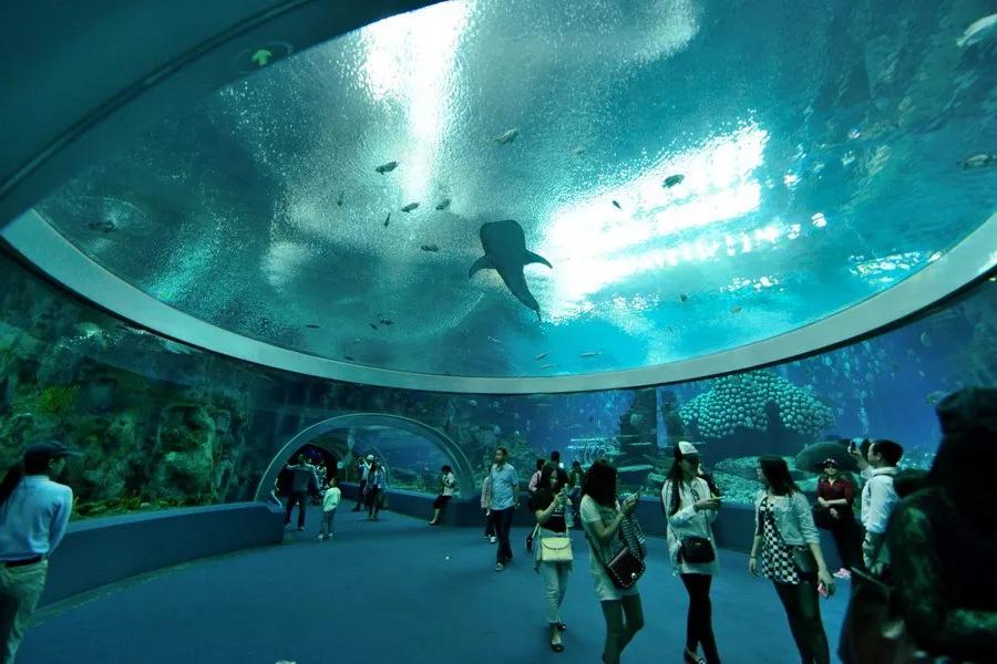 珠海长隆海洋王国建造,珠海长隆海洋王国海底房顶