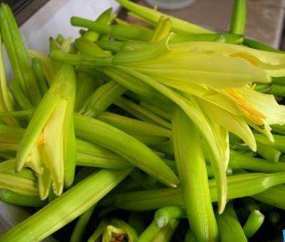 来凤鱼璧山兔蔡家店,来凤鱼璧山兔正宗做法