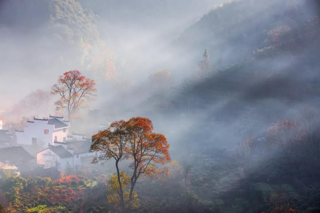 20个耳熟能详的成语,50个有典故的成语