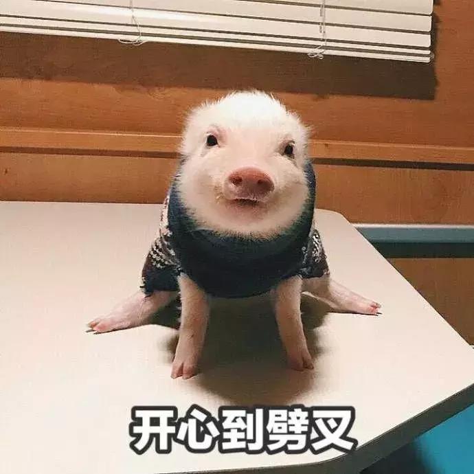 2020火爆全网的这些口红你有几支,口红鬼打墙