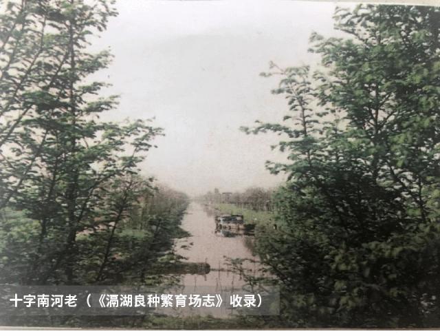 常州西太湖变迁,常州西太湖和滆湖公园有什么区别