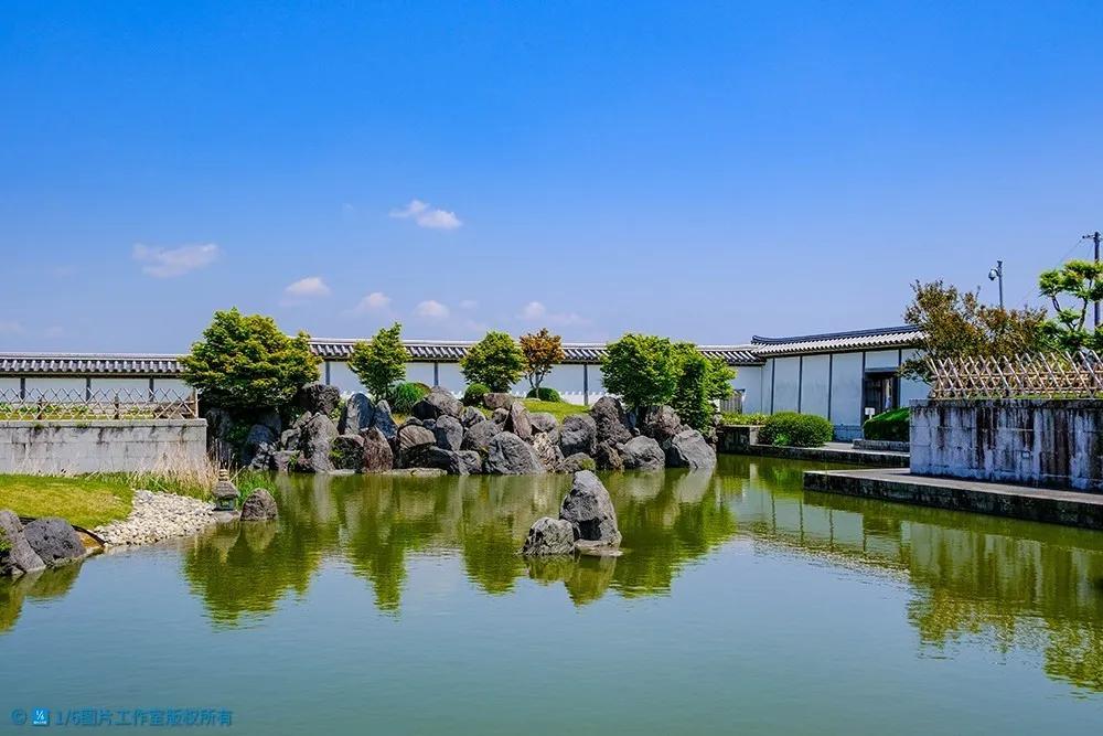 日本的茶博物馆,日本茶之都茶道体验