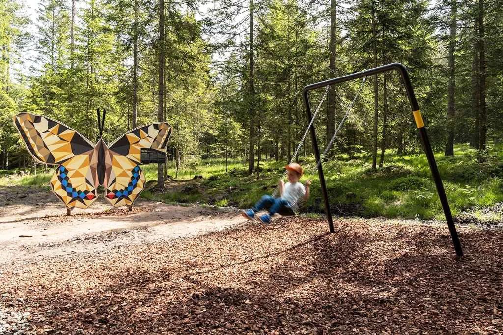 萌宠上阵，整个空间都奇趣了！