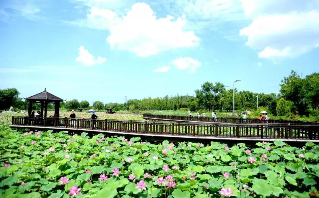 威海游览,威海玩美攻略潮玩街区