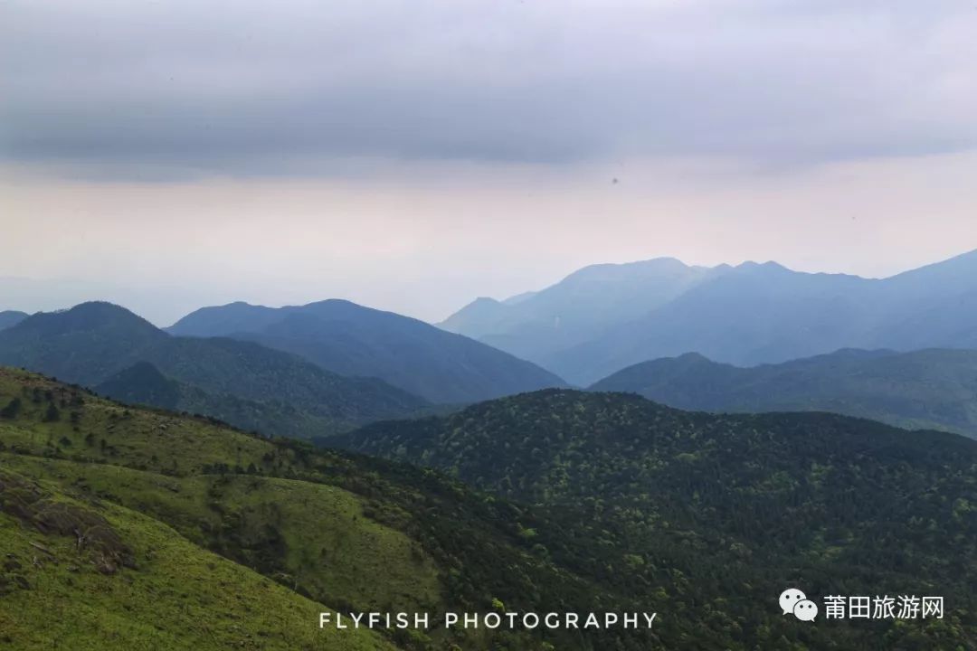 五月的山真的好美,五月的山的介绍