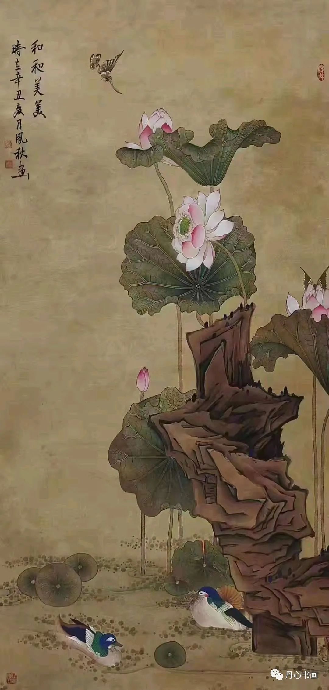 清新恬雅，意趣隽永｜工笔画家徐凤秋