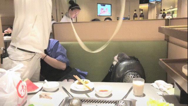 网红餐厅搞笑小品,网红餐厅表演视频