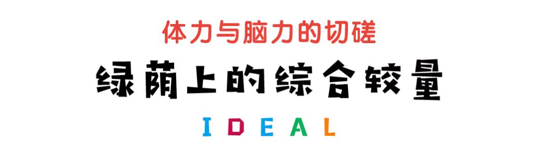 青少年棒垒球训练,第二届暑假集训营