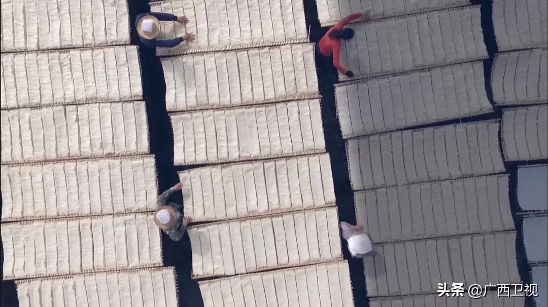 广西构建对外开放新支点,广西对外开放提出什么发展战略