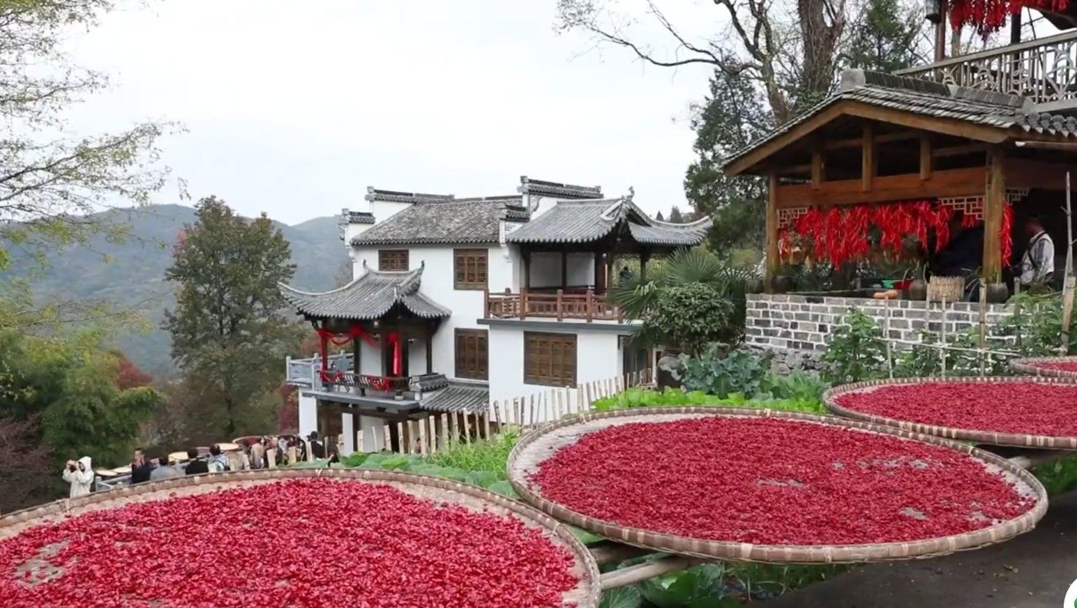 醉美黄山旅游,醉美篁岭古村落