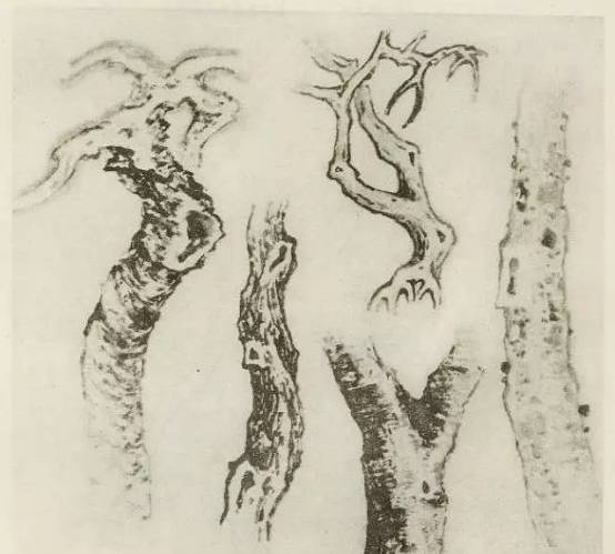 画树教程,怎么画树好看又超级简单