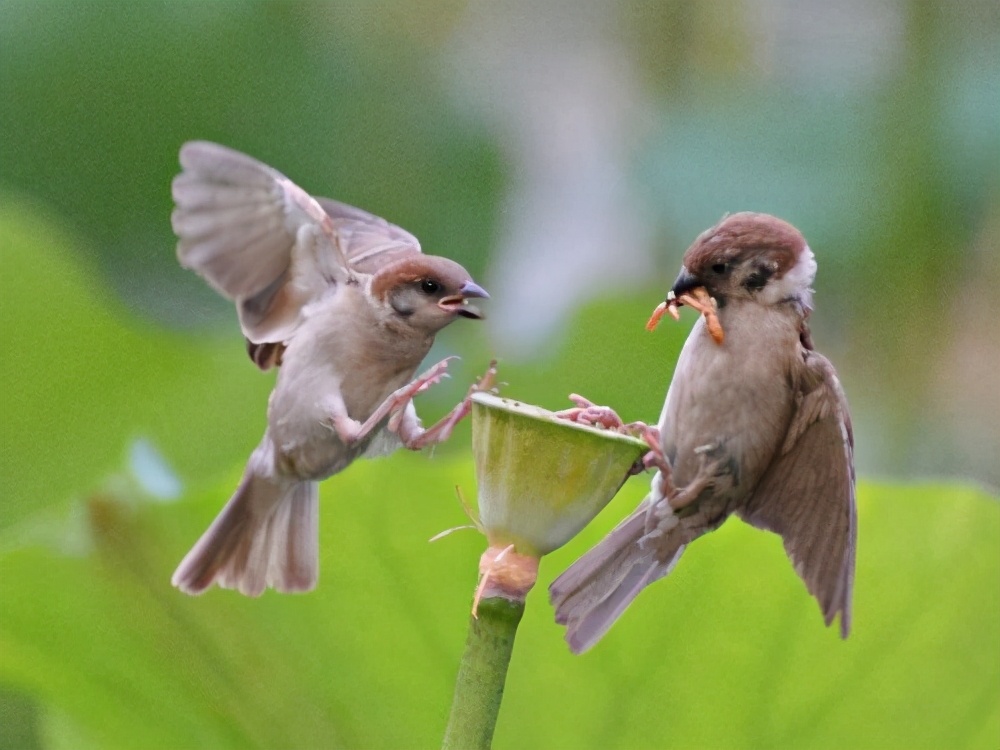 早上醒来出现了恐慌感，怎么办？三点经验与你分享