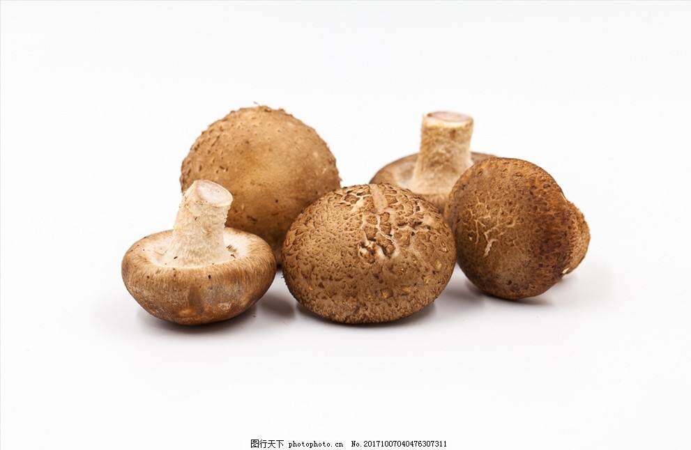 中草药香蕈,香蕈的营养价值及功效