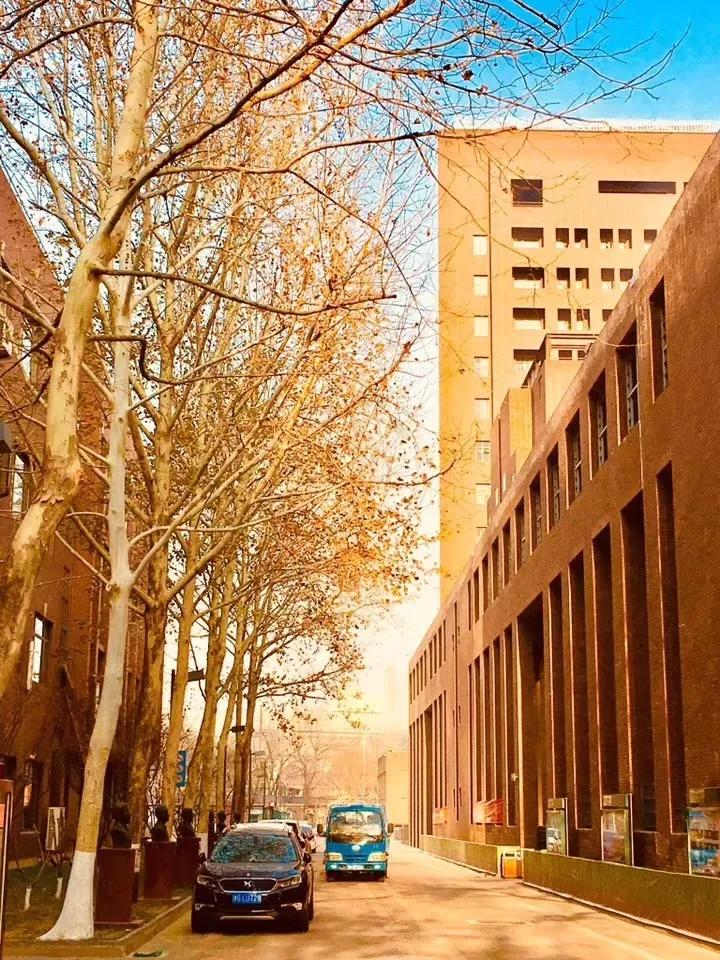 天津市耀华中学冯耀忠,天津市耀华中学招聘