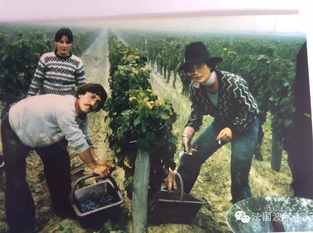 法国波尔家宣传视频,法国波尔家酒怎么样