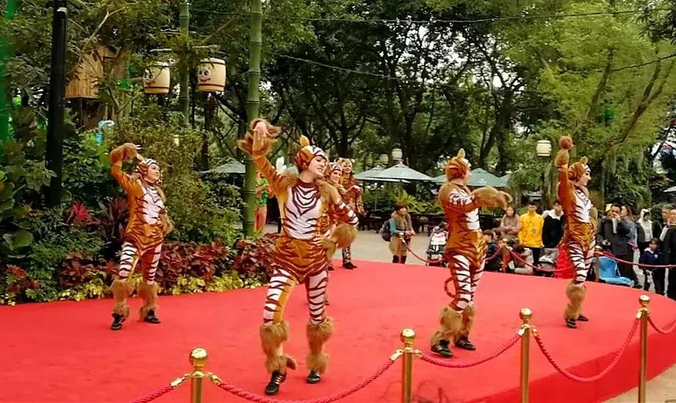 广州长隆动物园最全游玩攻略成人,去广州长隆野生动物园玩真实视频