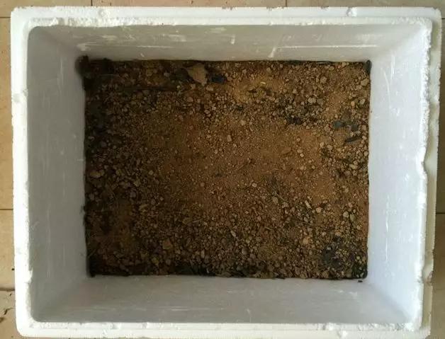 养花最好的颗粒土,碎砖养花的正确方法