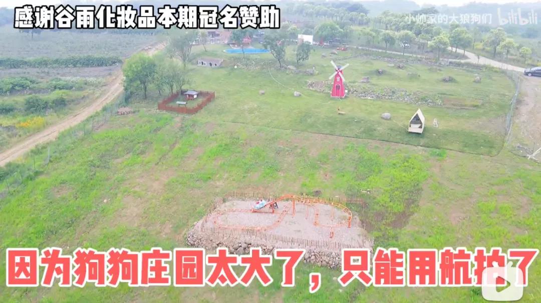 花三年建宠物乐园,花20万给狗打造乐园