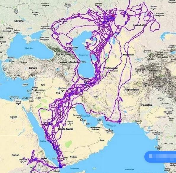 路边发现测速仪,野外发现一只老鹰