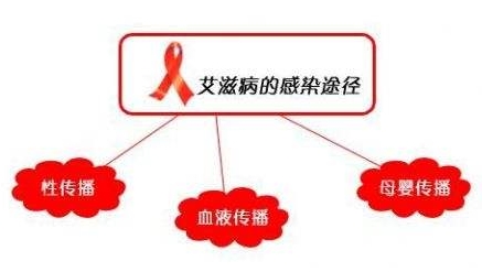 简述艾滋病的传播途径,艾滋病怎么才能知道是否传染