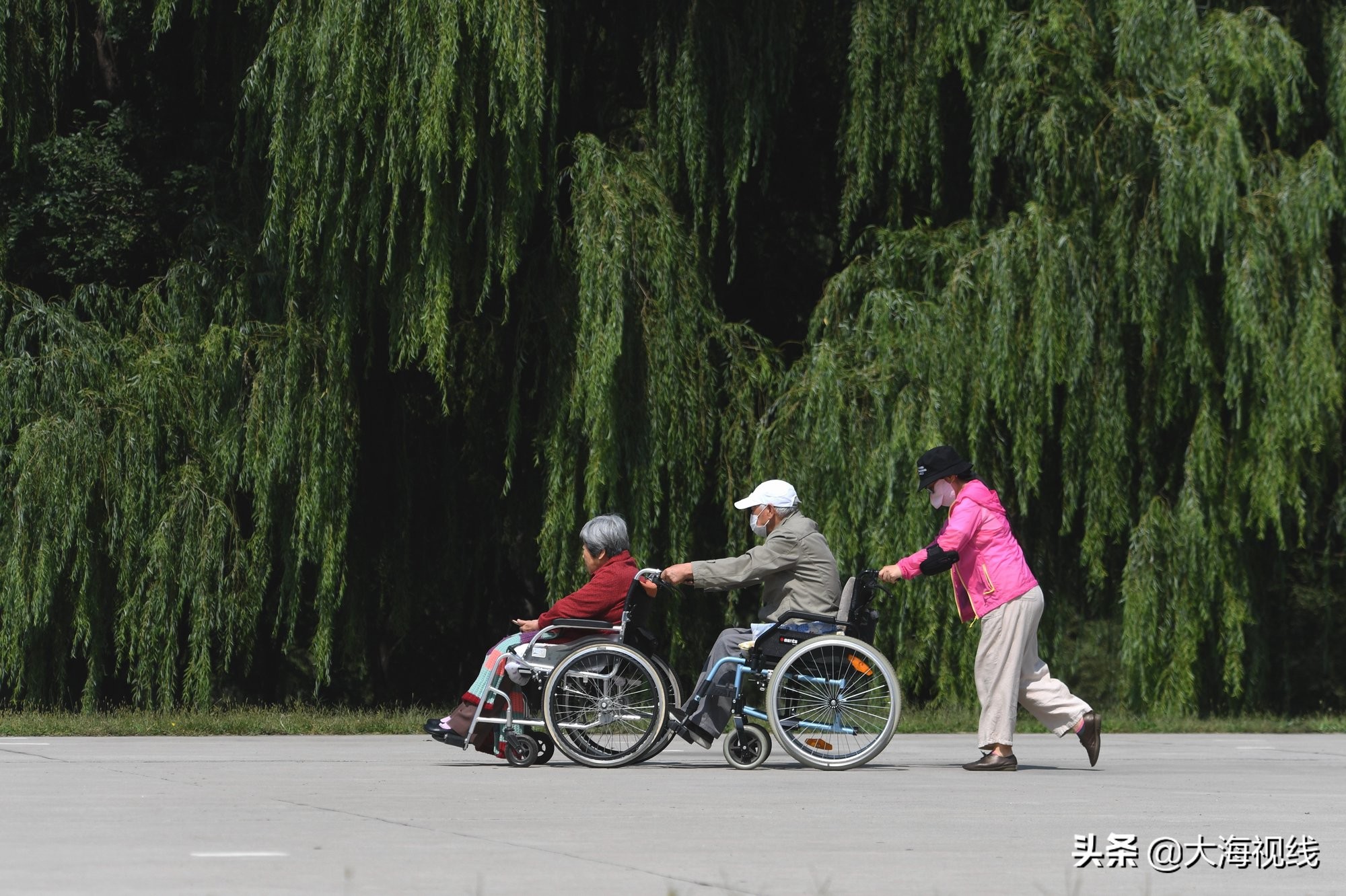 沈阳上演孝父敬母一幕任女士告诉你啥叫“我是你的腿”