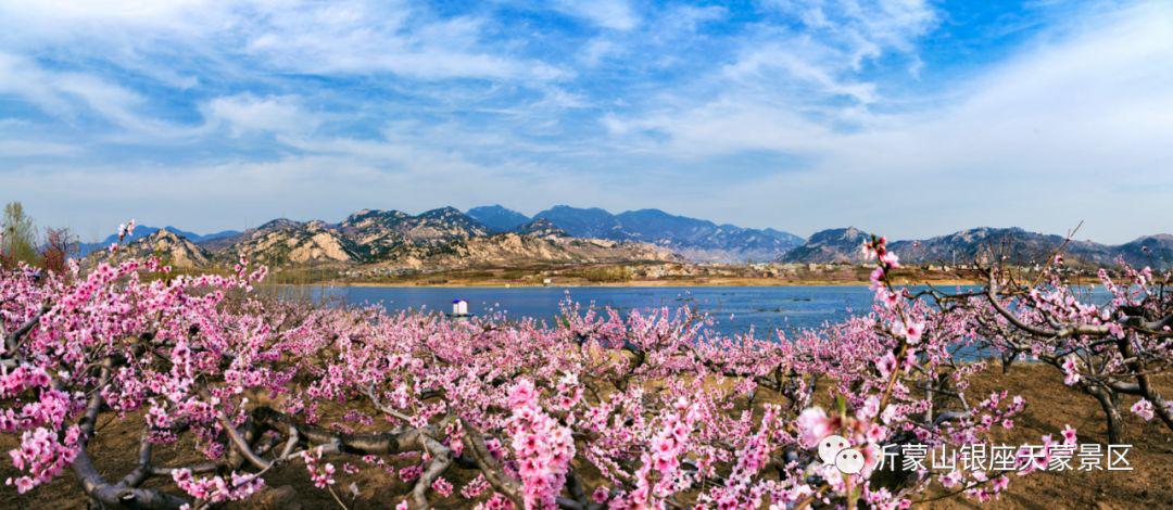 天蒙山踏青赏花,蒙山景区赏花