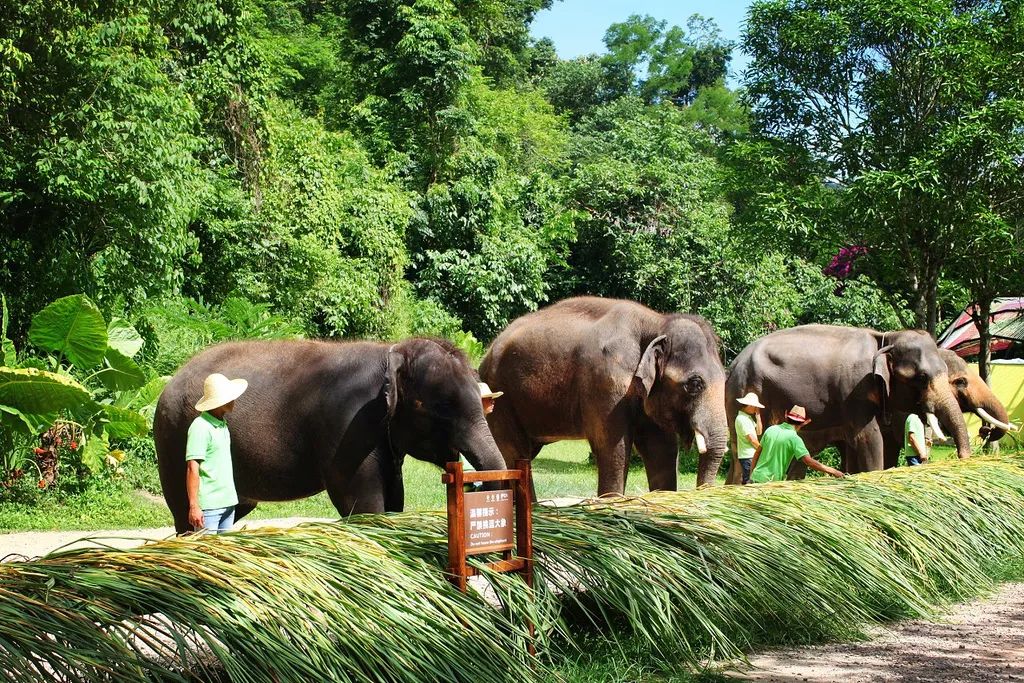 中老昆万铁路即将通车,中老昆万铁路隧道全线贯通