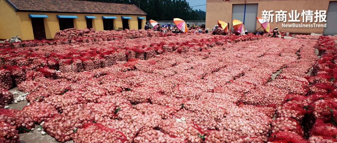 做淘宝货源代理,自己做淘宝代理