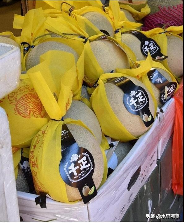 日本高档水果走俏香港贴牌假货盛行引业内担忧