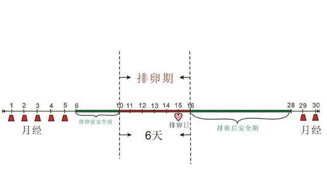女性处在排卵期,身体会有信号发出,你接收到了吗?