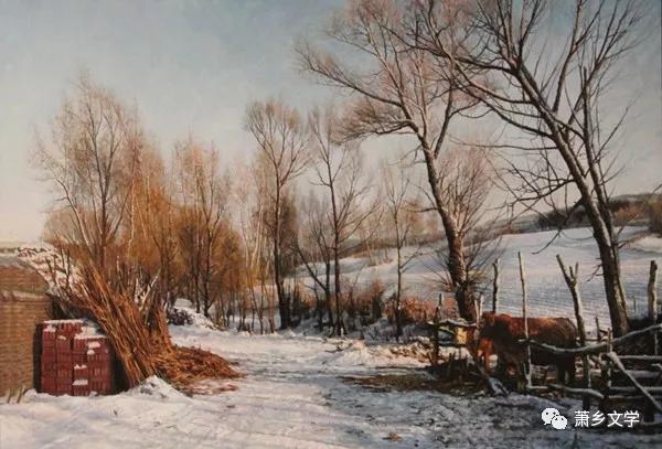 日照市东港区张维涛,张维涛湖北人